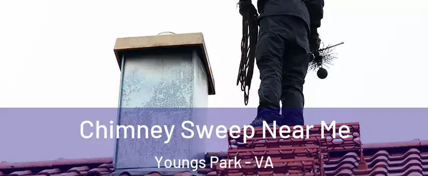 Chimney Sweep Near Me Youngs Park - VA