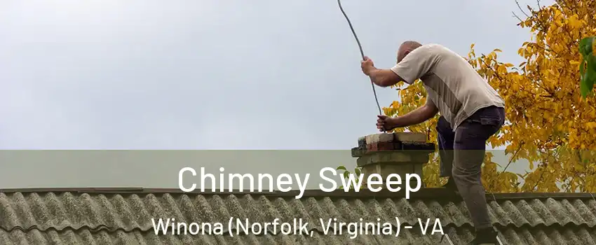 Chimney Sweep Winona (Norfolk, Virginia) - VA