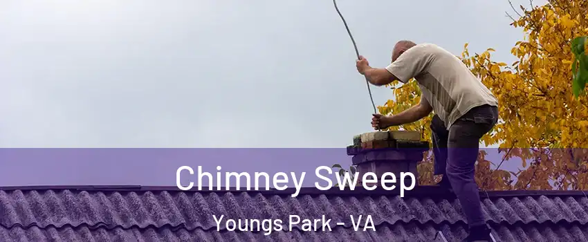 Chimney Sweep Youngs Park - VA