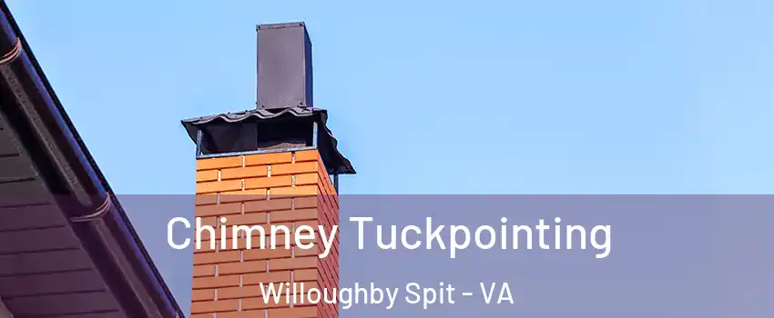 Chimney Tuckpointing Willoughby Spit - VA