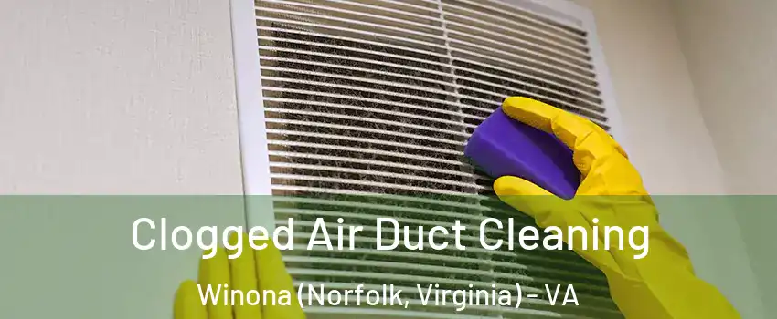 Clogged Air Duct Cleaning Winona (Norfolk, Virginia) - VA