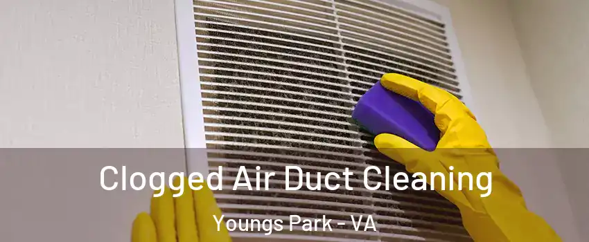 Clogged Air Duct Cleaning Youngs Park - VA