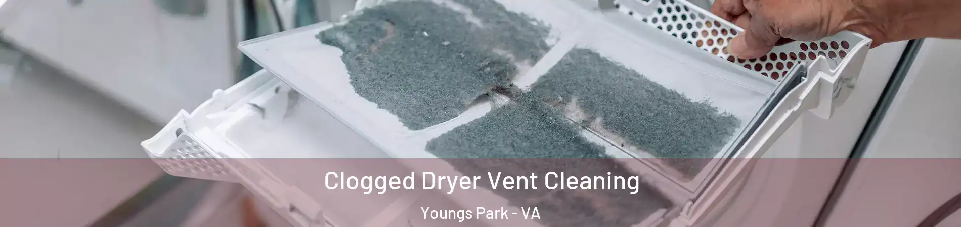 Clogged Dryer Vent Cleaning Youngs Park - VA