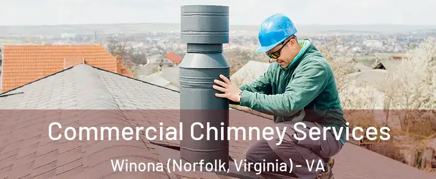Commercial Chimney Services Winona (Norfolk, Virginia) - VA