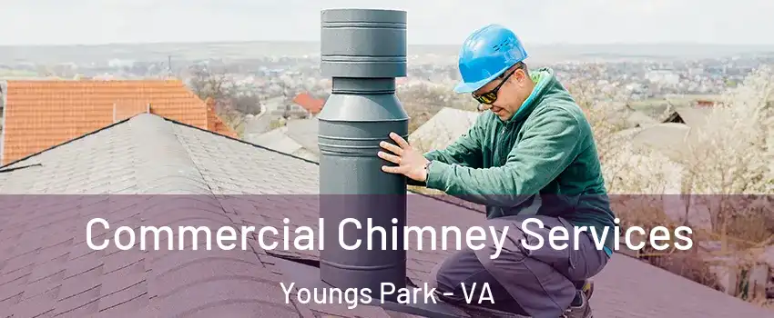 Commercial Chimney Services Youngs Park - VA