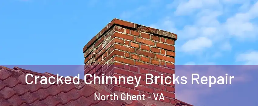 Cracked Chimney Bricks Repair North Ghent - VA