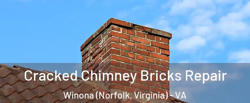 Cracked Chimney Bricks Repair Winona (Norfolk, Virginia) - VA