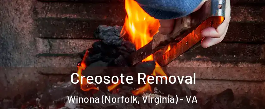 Creosote Removal Winona (Norfolk, Virginia) - VA