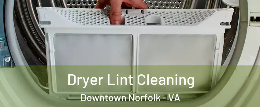 Dryer Lint Cleaning Downtown Norfolk - VA
