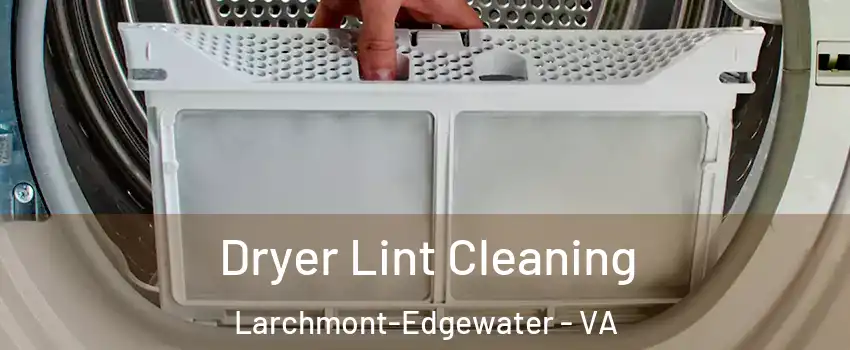 Dryer Lint Cleaning Larchmont-Edgewater - VA
