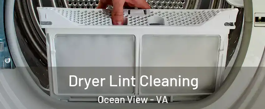 Dryer Lint Cleaning Ocean View - VA