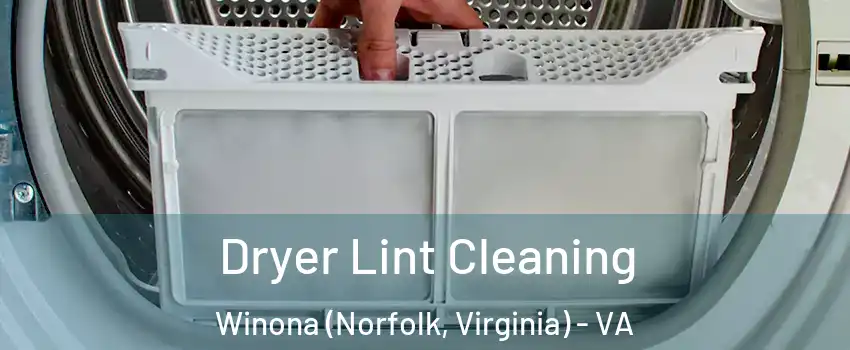 Dryer Lint Cleaning Winona (Norfolk, Virginia) - VA