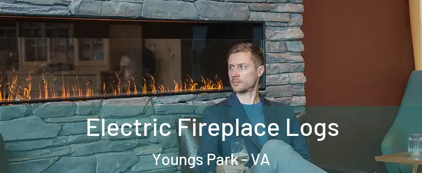 Electric Fireplace Logs Youngs Park - VA