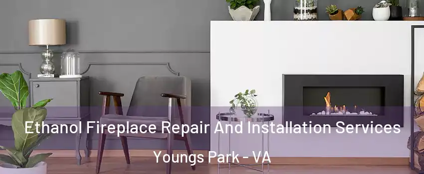 Ethanol Fireplace Repair And Installation Services Youngs Park - VA