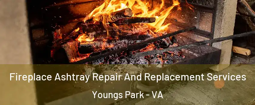 Fireplace Ashtray Repair And Replacement Services Youngs Park - VA