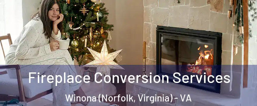 Fireplace Conversion Services Winona (Norfolk, Virginia) - VA