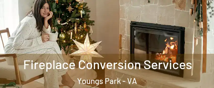 Fireplace Conversion Services Youngs Park - VA