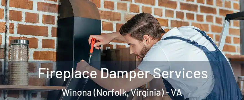 Fireplace Damper Services Winona (Norfolk, Virginia) - VA