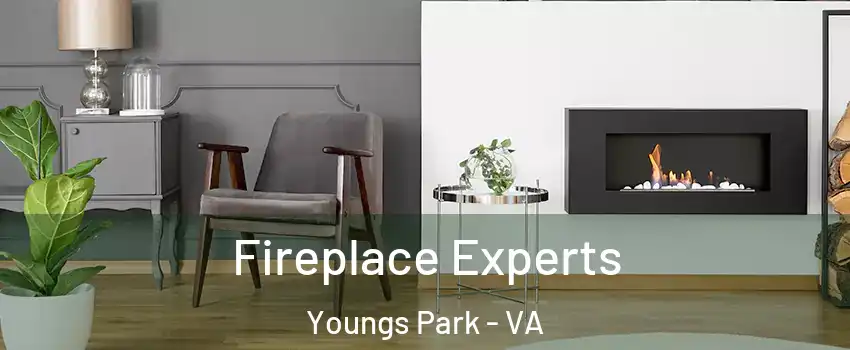 Fireplace Experts Youngs Park - VA