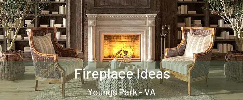 Fireplace Ideas Youngs Park - VA