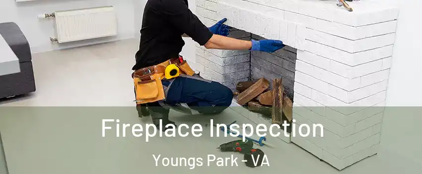 Fireplace Inspection Youngs Park - VA