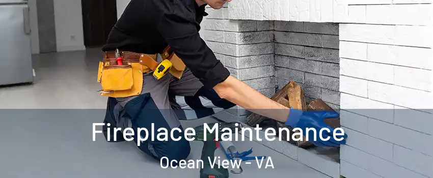 Fireplace Maintenance Ocean View - VA