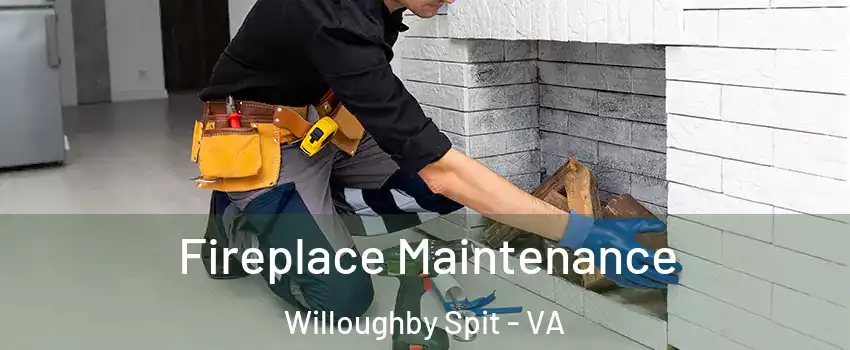 Fireplace Maintenance Willoughby Spit - VA
