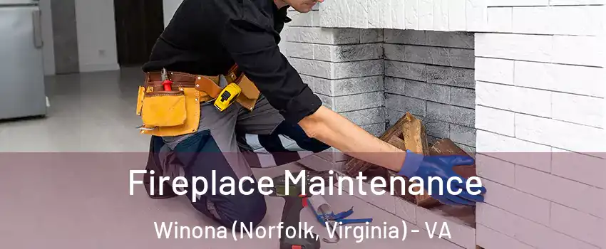 Fireplace Maintenance Winona (Norfolk, Virginia) - VA