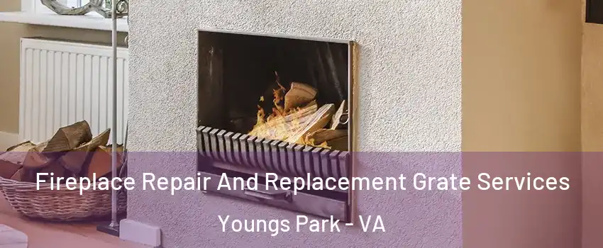 Fireplace Repair And Replacement Grate Services Youngs Park - VA