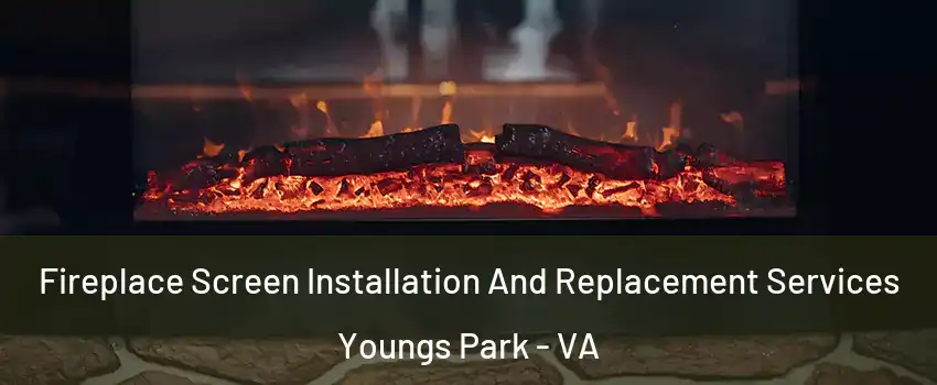 Fireplace Screen Installation And Replacement Services Youngs Park - VA