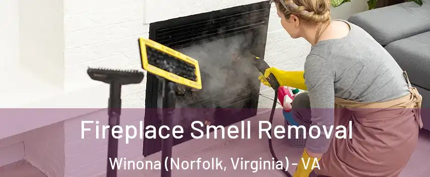 Fireplace Smell Removal Winona (Norfolk, Virginia) - VA
