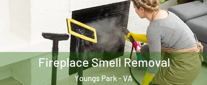 Fireplace Smell Removal Youngs Park - VA