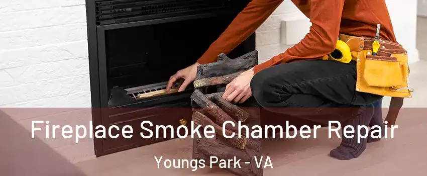Fireplace Smoke Chamber Repair Youngs Park - VA