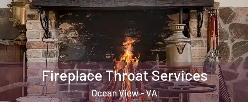 Fireplace Throat Services Ocean View - VA