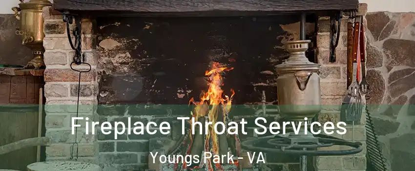 Fireplace Throat Services Youngs Park - VA