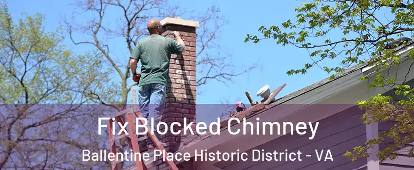 Fix Blocked Chimney Ballentine Place Historic District - VA