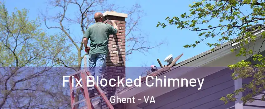 Fix Blocked Chimney Ghent - VA
