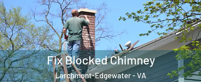 Fix Blocked Chimney Larchmont-Edgewater - VA