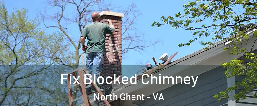 Fix Blocked Chimney North Ghent - VA