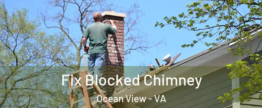 Fix Blocked Chimney Ocean View - VA