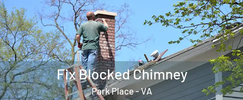 Fix Blocked Chimney Park Place - VA
