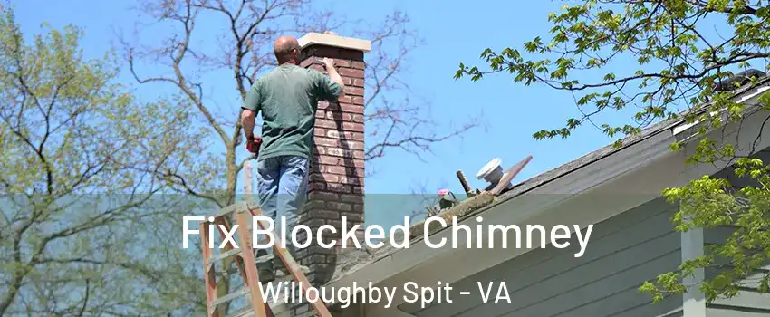 Fix Blocked Chimney Willoughby Spit - VA