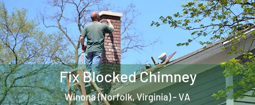 Fix Blocked Chimney Winona (Norfolk, Virginia) - VA