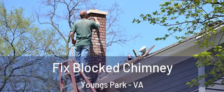 Fix Blocked Chimney Youngs Park - VA