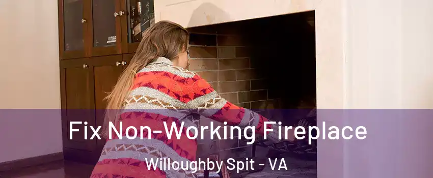 Fix Non-Working Fireplace Willoughby Spit - VA