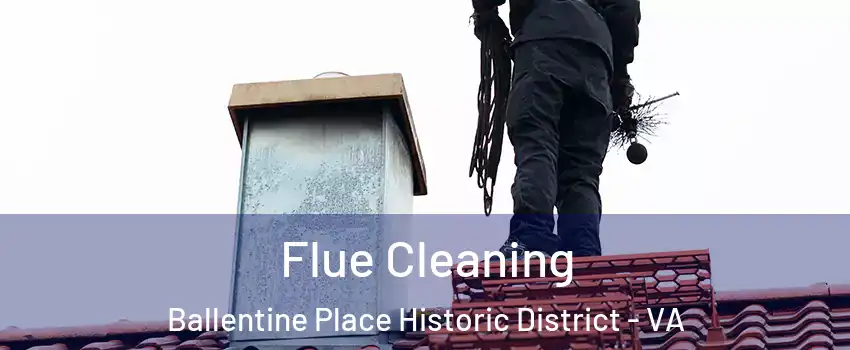 Flue Cleaning Ballentine Place Historic District - VA