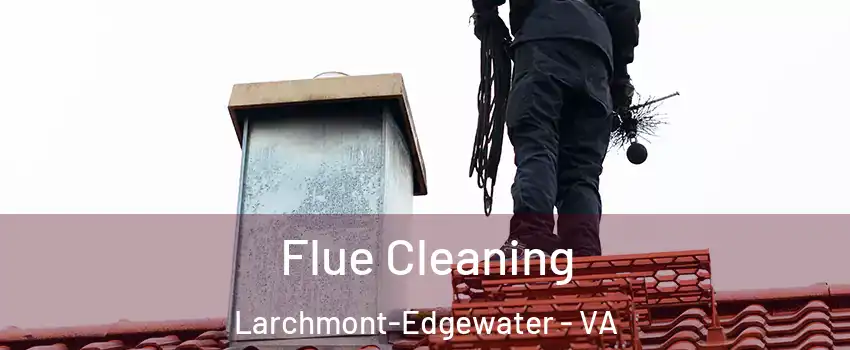Flue Cleaning Larchmont-Edgewater - VA