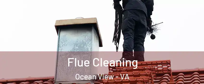 Flue Cleaning Ocean View - VA