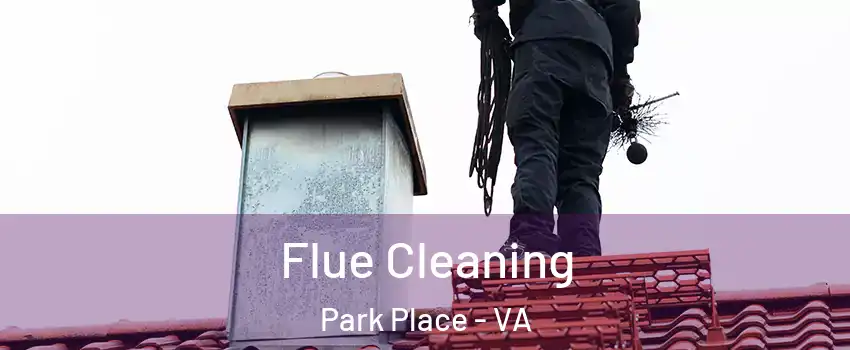 Flue Cleaning Park Place - VA