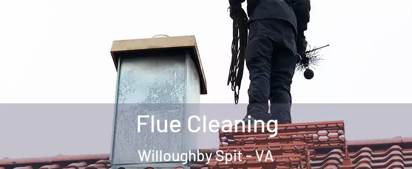 Flue Cleaning Willoughby Spit - VA